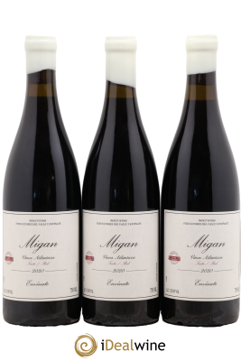 Vinos Atlanticos - Islas Canarias Migan Envinate