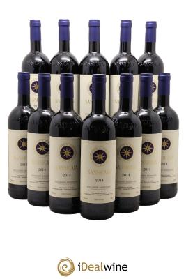 Bolgheri DOC Sassicaia Tenuta San Guido