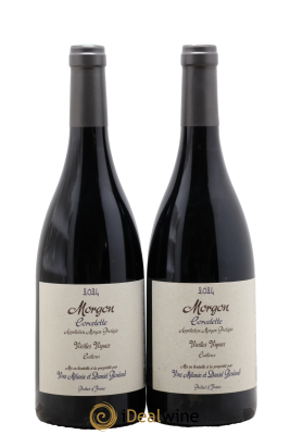 Morgon Corcelette Vieilles Vignes Cailloux Daniel Bouland (Domaine)