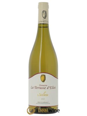 Pays d'Hérault Siclène Terrasse d'Elise (Domaine de la) 