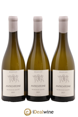 Bourgogne Aligoté Antichtone Benoit Ente