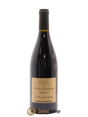 Saumur-Champigny La Haye Dampierre Antoine Sanzay