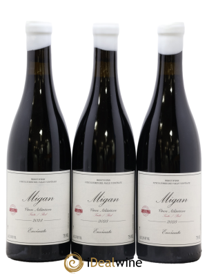 Vinos Atlanticos - Islas Canarias Migan Envinate