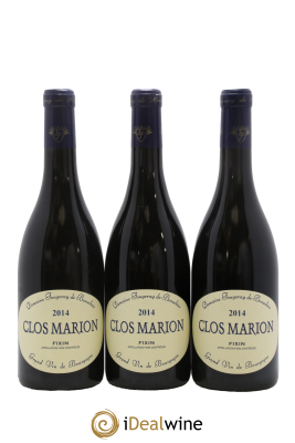 Fixin Clos Marion Fougeray de Beauclair
