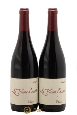 Vin de France La Plante d'à coté Binaume Bizot-Naudin