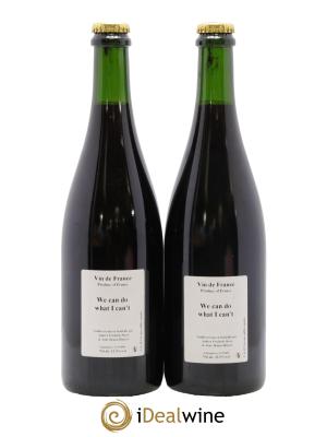 Vin de France We Can Do What I Can't Anders Frederik Steen