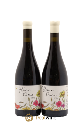 Bourgogne Flower Power Jérémy Carteret