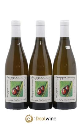 Bourgogne Christophe Violot-Guillemard