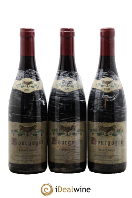 Bourgogne Coche Dury (Domaine)