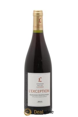 Bourgogne Passetoutgrain L'Exception Lafarge (Domaine)