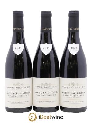 Morey-Saint-Denis 1er Cru Les Ruchots Pierre Amiot et Fils (Domaine)