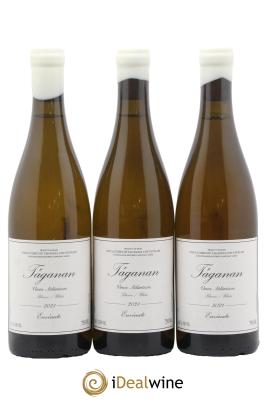 Espagne Tenerife Taganan Envinate