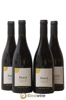 Calvi Suale Domaine Alzipratu