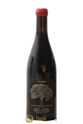 Vin de France Merlot Ornaté Jérôme Bretaudeau - Domaine de Bellevue