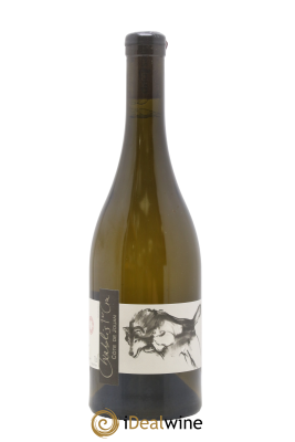Chablis 1er Cru Côte de Jouan Pattes Loup (Domaine)