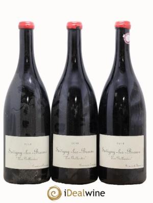 Savigny-lès-Beaune Les Gollardes Domaine de Chassorney - Frédéric Cossard