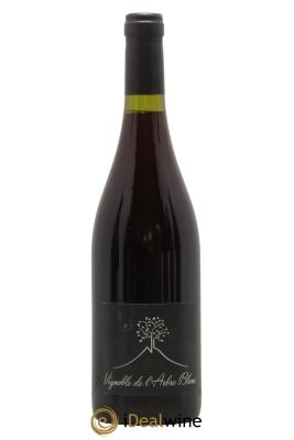 Vin de France Les Grandes Orgues Vignoble de l'Arbre Blanc