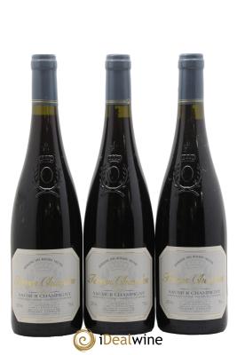 Saumur-Champigny Terres Chaudes Domaine des Roches Neuves - Thierry Germain