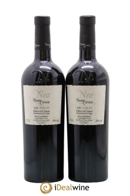 Ribera Del Duero DO Neo Punta Esencia