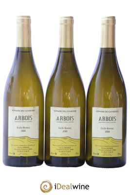 Arbois Guille-Bouton Cavarodes (Domaine des) - Etienne Thiébaud