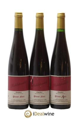 Alsace Pinot Noir Bildstoeckle Gérard Schueller (Domaine) 