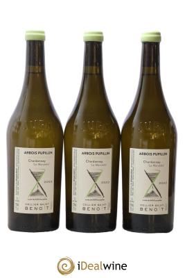 Arbois La Marcette Cellier Saint Benoît