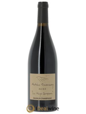 Saumur-Champigny La Haye Dampierre Antoine Sanzay