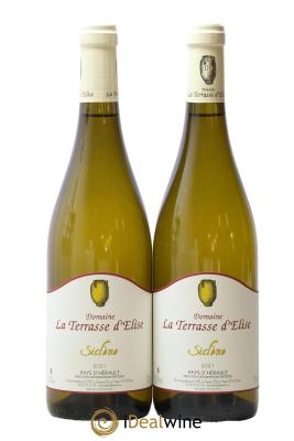 Pays d'Hérault Siclène Terrasse d'Elise (Domaine de la)