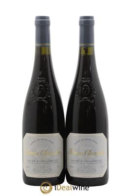 Saumur-Champigny Terres Chaudes Domaine des Roches Neuves - Thierry Germain