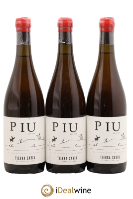 Espagne Piu anfora Tierra Savia