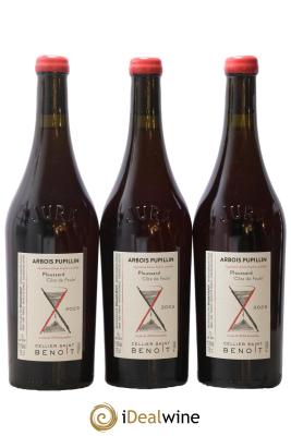 Arbois-Pupillin Ploussard Côte de Feule Cellier Saint Benoît