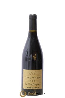 Saumur-Champigny La Haye Dampierre Antoine Sanzay