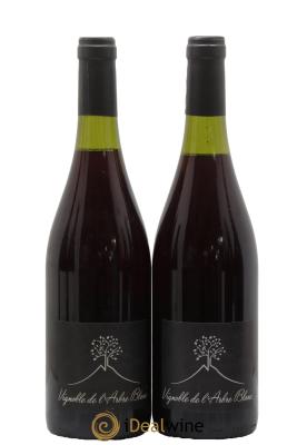 Vin de France Les Grandes Orgues Vignoble de l'Arbre Blanc