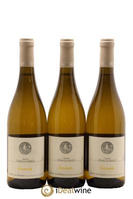 Italie Terre Siciliane IGT Incanto Tenuta Enza la Fauci