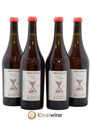 Arbois-Pupillin Ploussard Chambines Cellier Saint Benoît