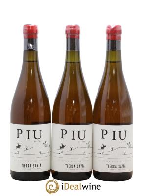 Espagne Piu Tierra Savia Anfora