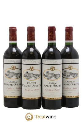 Château Chasse Spleen 