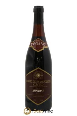 Amarone della Valpolicella Classico DOCG Pegaso