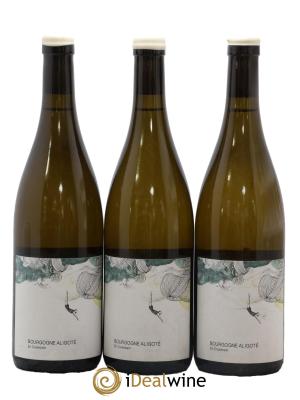 Bourgogne Aligoté En Coulezain Les Horées
