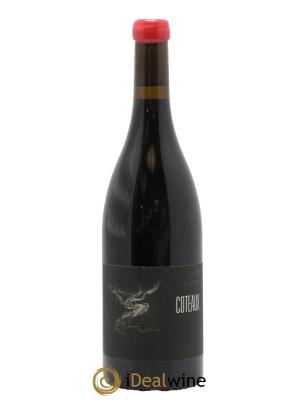 Coteaux Bourguignons Arnaud Lopez
