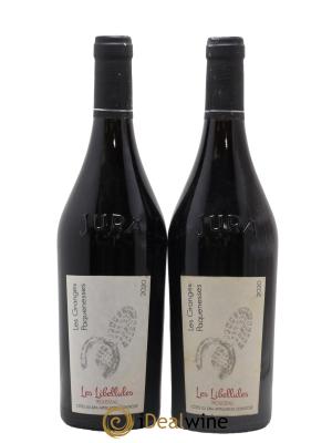 Côtes du Jura Les Libellules Trousseau Les Granges Paquenesses