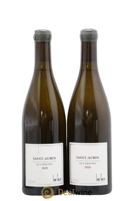 Saint-Aubin En l'Ebaupin Lamy-Caillat (Domaine)