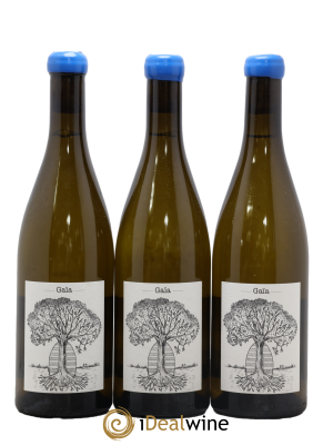 Muscadet-Sèvre-et-Maine Gaia Jérôme Bretaudeau - Domaine de Bellevue