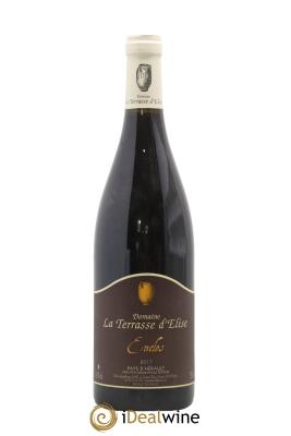 Pays d'Hérault L'Enclos Terrasse d'Elise (Domaine de la)