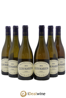 Fixin Clos Marion Fougeray de Beauclair