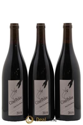 Vin de France Côte Pelée Jean-Yves Péron