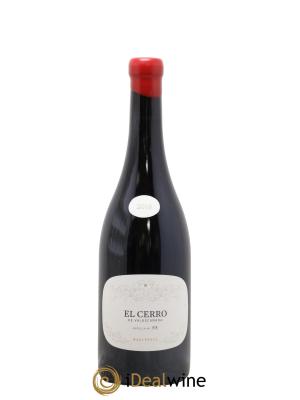Bierzo DO El Cerro De Valdecanada R Perez