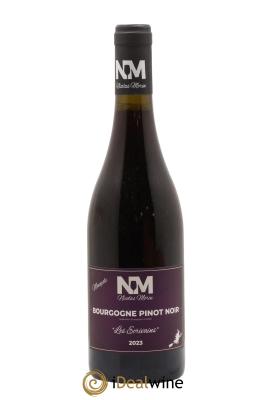 Bourgogne Nicolas Morin Les Ecrivains