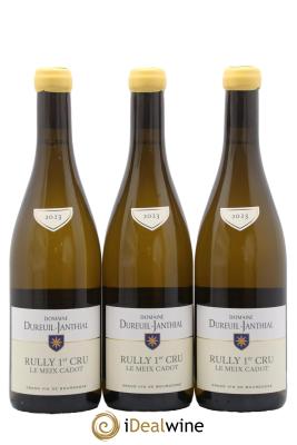 Rully 1er Cru Le Meix Cadot Vincent Dureuil-Janthial