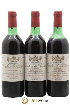 Château Cambon la Pelouse Cru Bourgeois